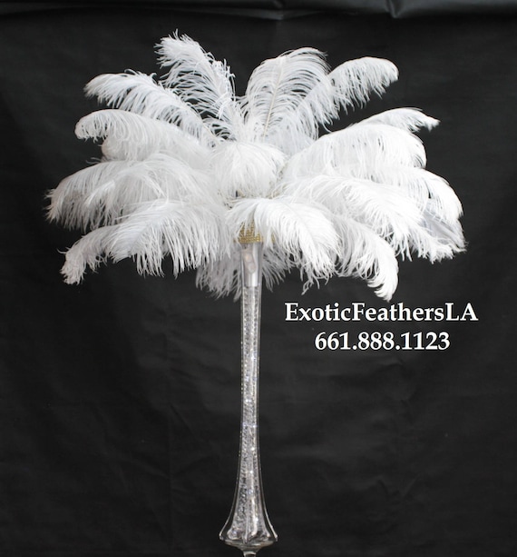 USA Shop White Ostrich Feathers 13 to 18 inches long. Ostrich Tail Centerpiece Feathers