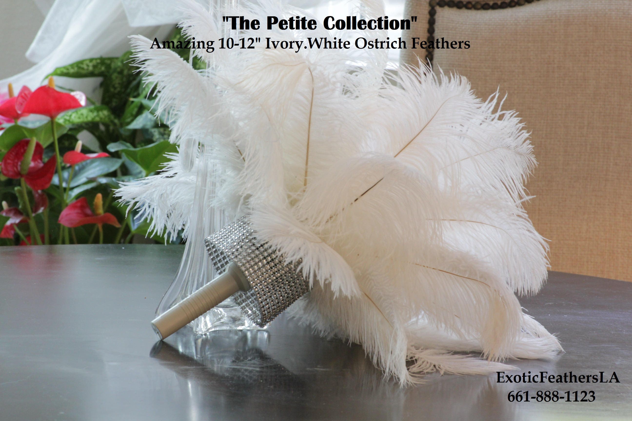 USA Store Limited Time! 1 to 100 Ostrich Feathers "The Petite Co…