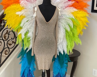 Rainbow Adult Feather Angel Wings