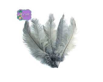 USA Shop! Bulk Special SILVER GRAY Ostrich Feathers Mini-Spads 12-16". Approximately 1/4 lb. Guaranteed minimum 200 Feathers