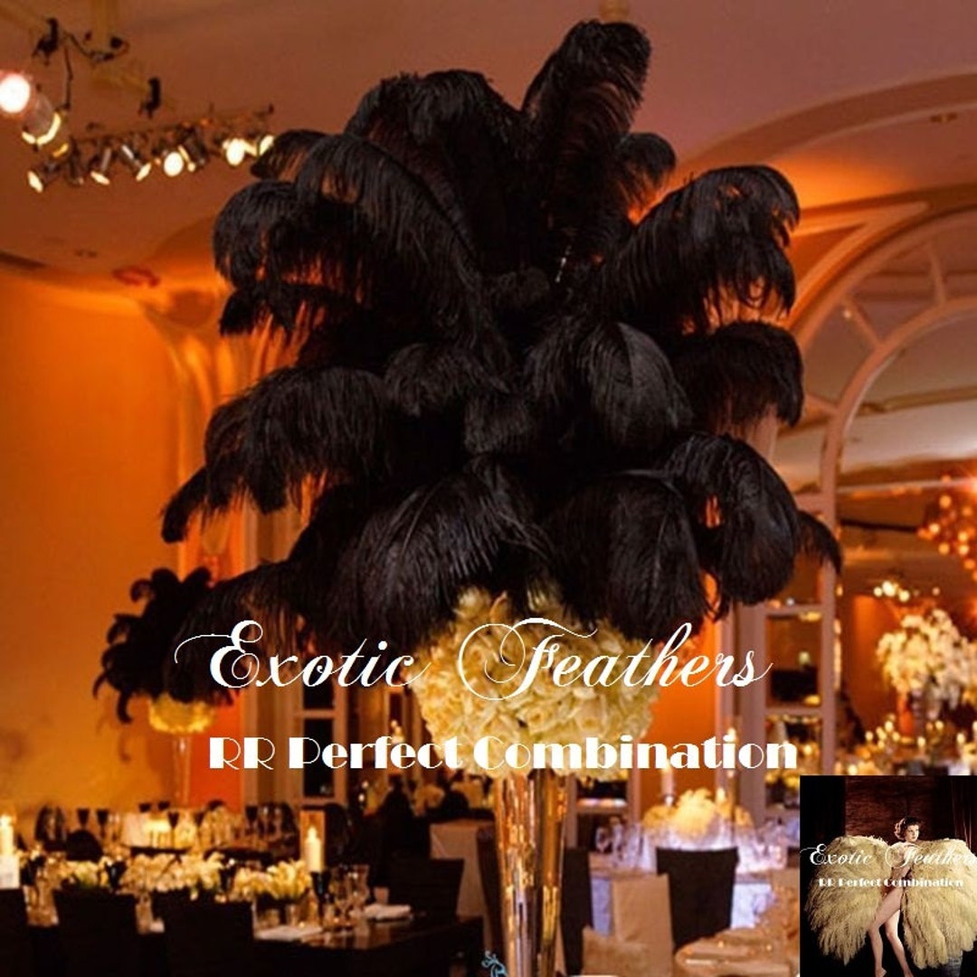  ZUCKER - Eiffel Tower Vase - Feather Centerpiece Decoration for  Wedding, Parties and Events - Ostrich Feather and Vase Set - Black Vase/ Black Ostrich Feathers : Home & Kitchen