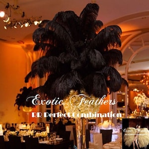 Black Ostrich Feathers 15 to 18 Inches Long. USA Seller! Ostrich Feather Plumes, Mardi Gras, Samba Costumes, Carnival, Feather Centerpiece