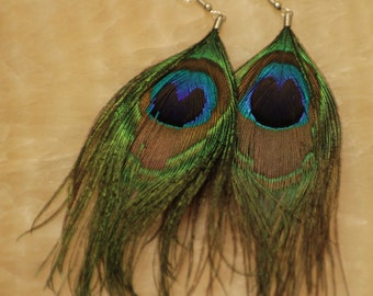 Natural Peacock Feather Earrings: Exotic Colorful Dangles