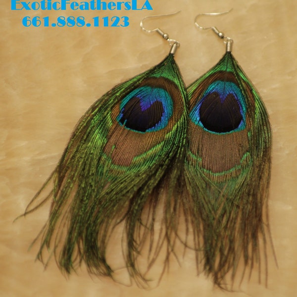 Peacock Earrings, Genuine Colorful Natural Peacock Feathers. USA SELLER  ExoticFeathersLA, Colorful Peacock Feathers,