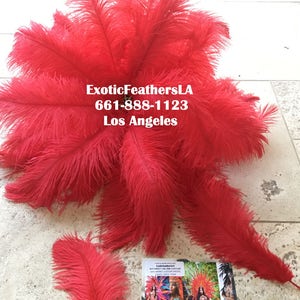 Special Sale U.S.A. 1-100 Pcs. RED Ostrich Feathers 11-14 long. Feather Centerpiece, Wedding, Quinceañera, Roaring 20's,Table centerpiece, image 3