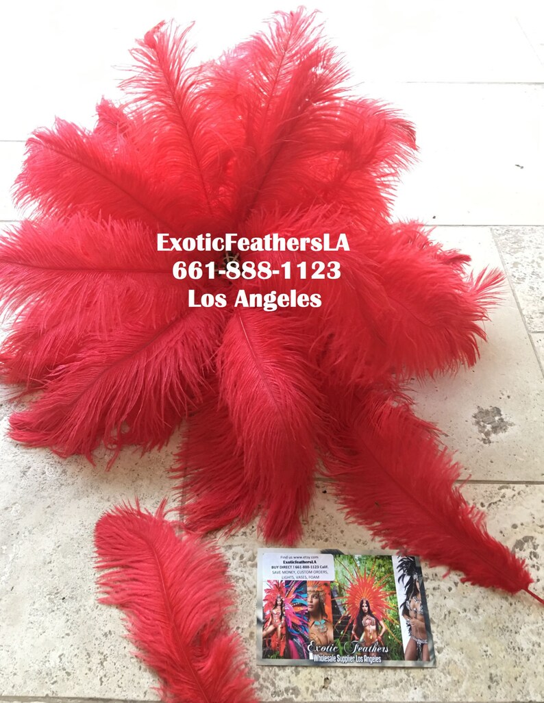Special Sale U.S.A. 1-100 Pcs. RED Ostrich Feathers 11-14 long. Feather Centerpiece, Wedding, Quinceañera, Roaring 20's,Table centerpiece, image 3