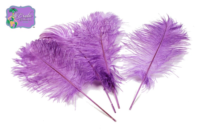 Bulk Special LAVENDER Ostrich Feathers Centerpiece Tail Etsy