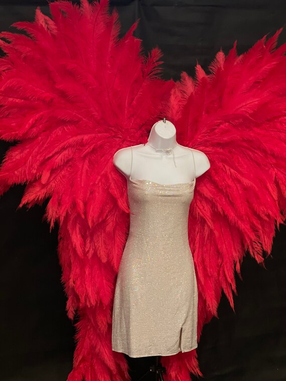 Red Feather Wings Red Feather Wings