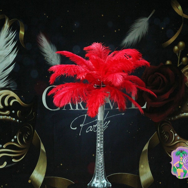 Red Ostrich Feathers - Feather Centerpieces | Wedding Centerpieces | Feather Decorations | Feathers For Vases