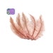 see more listings in the BULK  OSTRICH FEATHERS  section