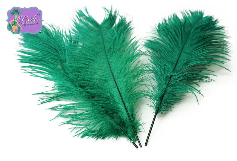 Bulk Special EMERALD GREEN Ostrich Feathers Centerpiece Tail Etsy