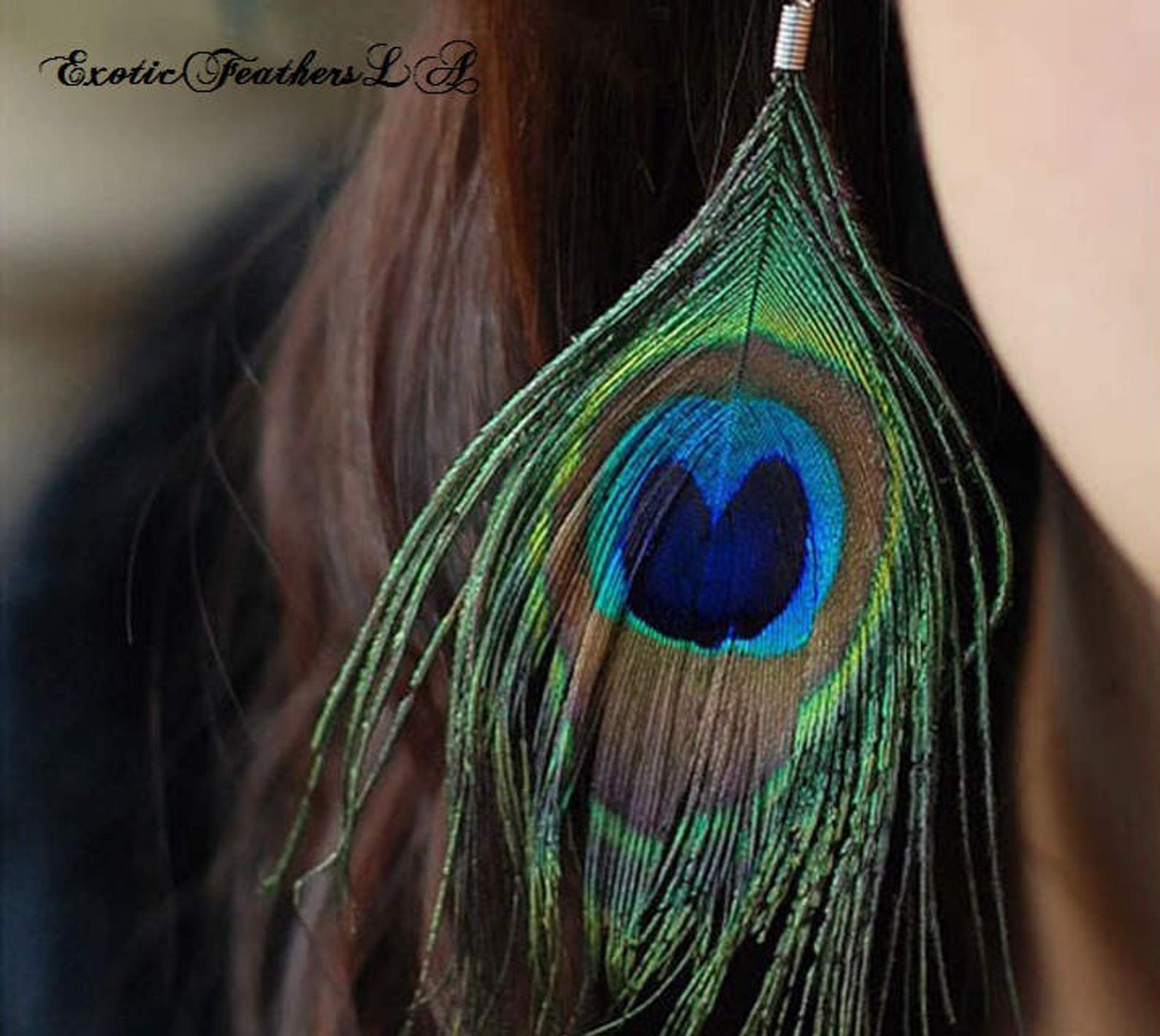 Peacock Earrings Genuine Colorful Natural Peacock Feathers. - Etsy