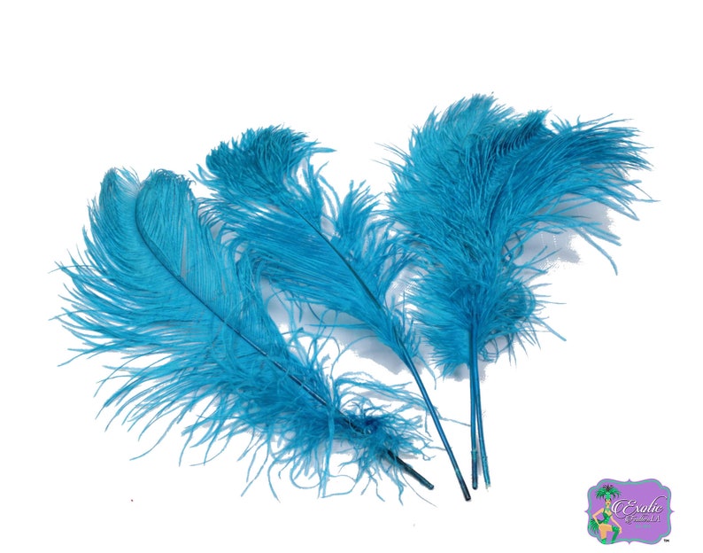 turquoise ostrich plumes
