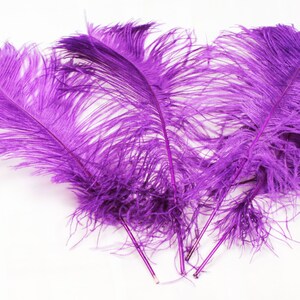 10 Pcs. PURPLE Ostrich Tail Feathers U.S.A. Supplier. You choose size 13-16&quot; or 15-18&quot; Ostrich Feathers.  Ostrich feathers for Centerpiece.
