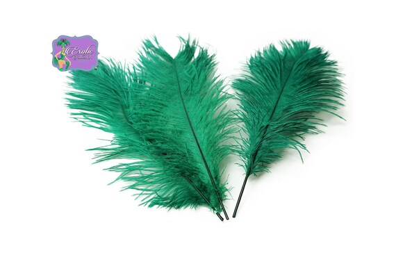 GreenFeathersStore 