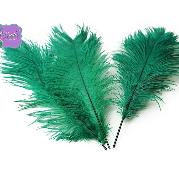 USA Store! EMERALD GREEN Ostrich Feathers 11-14" and 9-12" Long. 1 to 100 Pcs. Centerpiece Feathers, Prom and Wedding Centerpeices.