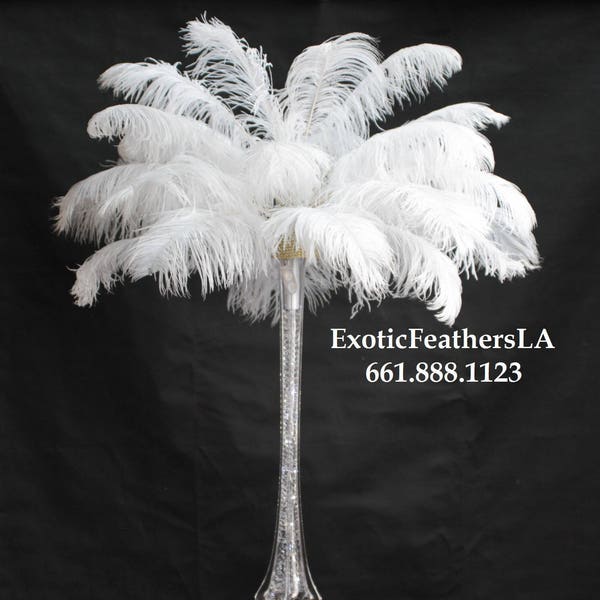 USA Store White Ostrich Feathers 17 to 20 inch. Ostrich Tail Feather Plumes. 1 to 100 pcs. Feather Centerpieces,Mardi Gras,Feather Fan,Samba