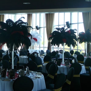 Special Sale USA Store! BLACK Ostrich Feathers 14 to 18 inches Long. Deluxe Tail Ostrich Plumes. Feather Centerpieces,Mardi Gras,Burlesque