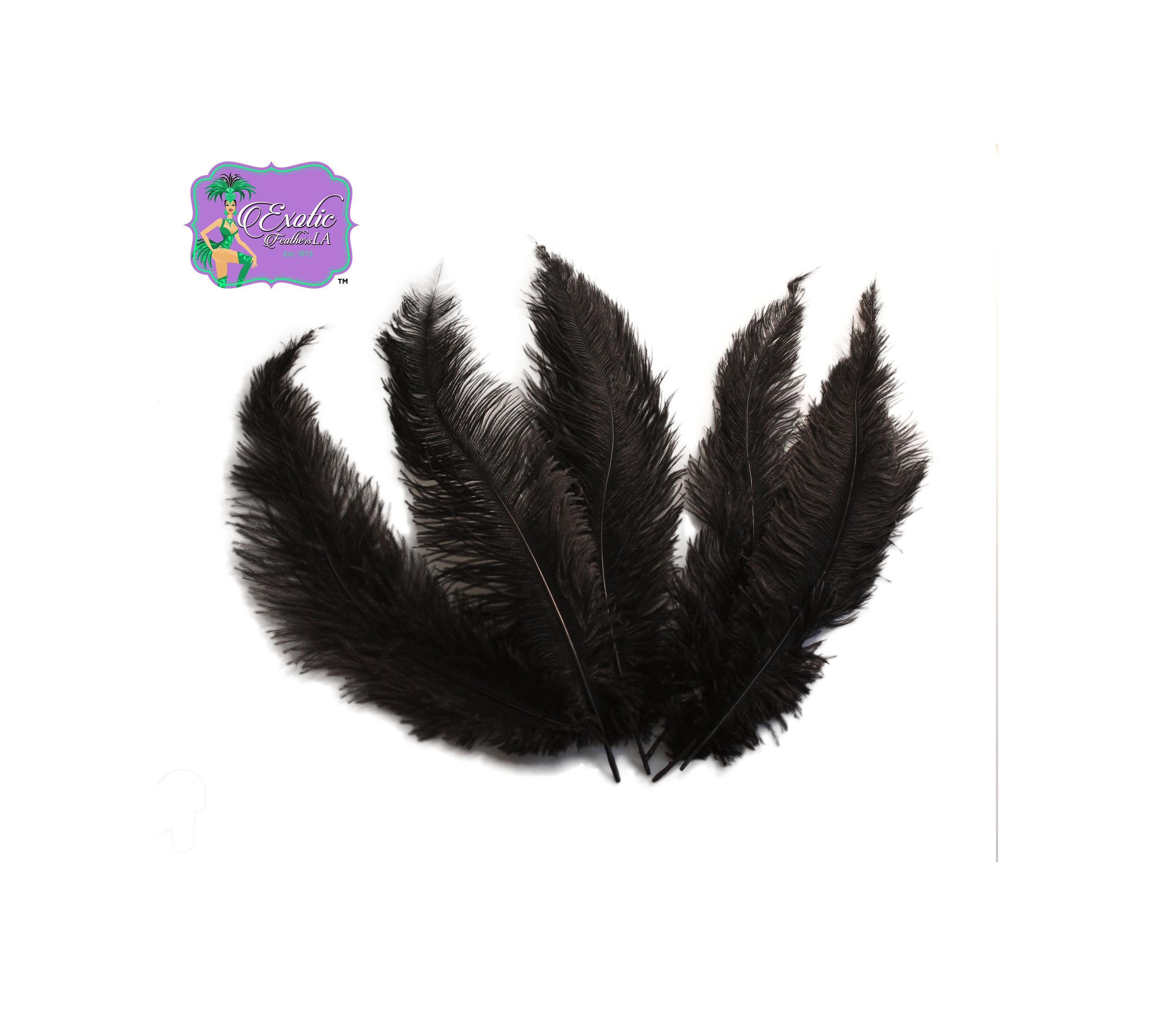 10 Pcs Natural Black Ostrich Feathers 14-16 Inch(35-40 Cm) Bulk for DIY  Hallowee