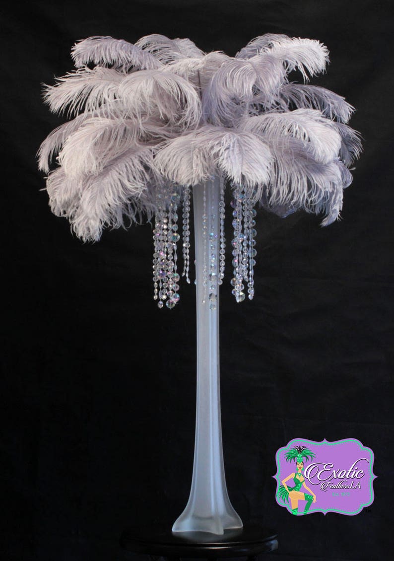 USA Shop SILVER/GREY Ostrich Feathers 13 to 18 inches long. Ostrich Tail Centerpiece Feathers image 4