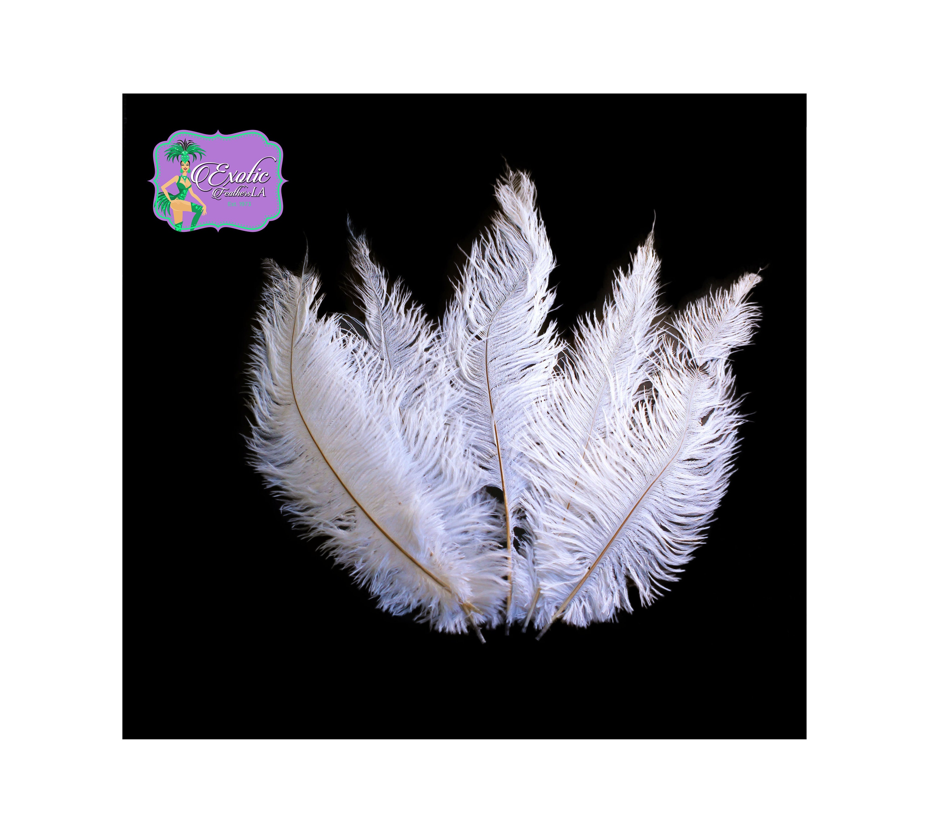white ostrich feathers bulk