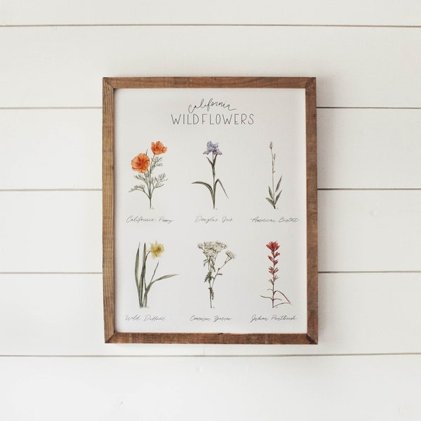California Wildflower Chart Print - Wildflower Art, Flower Print, Wall Art, Tahoe Flowers, Flower Chart, Nature, Home Decor