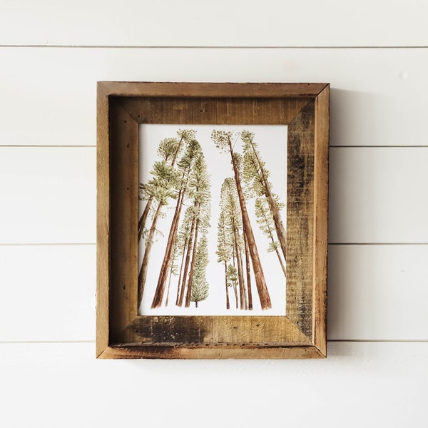 Redwoods Print - Pine Trees Print, Pine, Mountain Wall Art, Tree Art, Home Decor, Minimalist, Wall Art, Watercolor Print