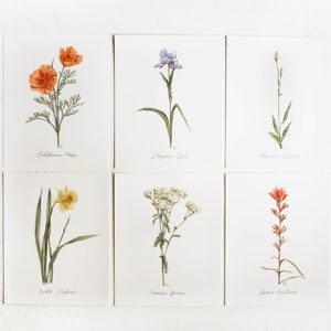 Wildflower Print Set - 6 Print set, Wildflower, California Wildflowers, Wall Decor, Watercolor Flower, Poppy, Daffodil, Watercolor Prints
