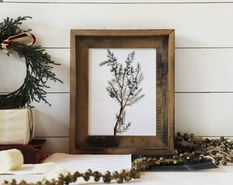 Juniper Sprig Print - Pine Tree Print, Sprig, Wall Art, Holiday Art, Home Decor, Winter Art, Gift, Watercolor Print, Watercolor