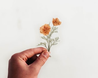 California poppy Sticker - Sticker, Wildflower Sticker, Flower Sticker, Art Sticker, Cute Sticker, California Poppy, California