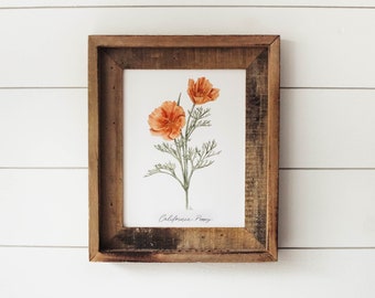 California Poppy Print - Flower Print, Botanical Print, California State Flower, Wall Art, Watercolor Wildflowers, California Wildflowers