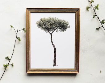 Regenschirm Pine Print | Aquarell Pinie, Pinie, Italien, Baum in Italien, Rom Baum, Aquarelldruck, Wandbild, Home Decor