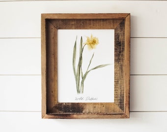 Wild Daffodil Print - California Wildflower, Wild Daffodil, Watercolor Flower, Wall Art, Botanical Print, Flower Print, Home Decor