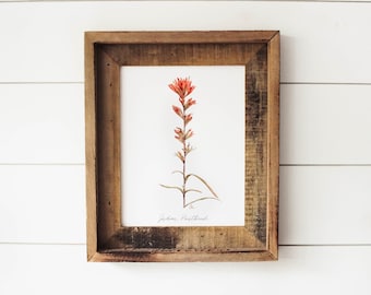 Impressão de Pincel Indiano - Flor Silvestre da Califórnia, Flor em Aquarela, Impressão de Flor Silvestre, Impressão Botânica, Arte de Parede, Pincel Indiano