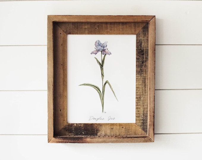 Maroon and Yellow Iris Original Painting for Wall Decor and Floral Art