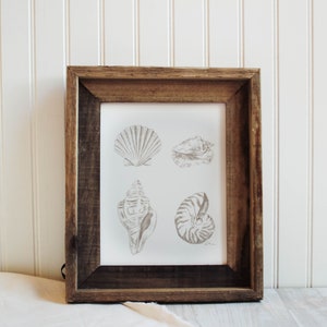 Sea Shells Print - Beach Print, Minimalistic Decor, Summer Decor, Sea Shell Sketch, Home Decor, Sketch, Print Only