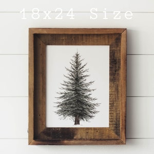May include: A black and white illustration of a pine tree in a brown wood frame. The frame is 18 inches by 24 inches.