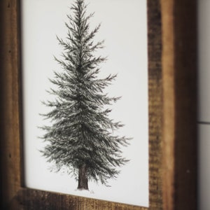 May include: A black and white illustration of a pine tree in a rustic wooden frame.
