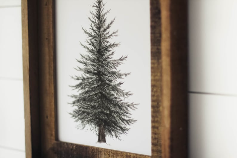 May include: A black and white illustration of a pine tree in a rustic wooden frame.
