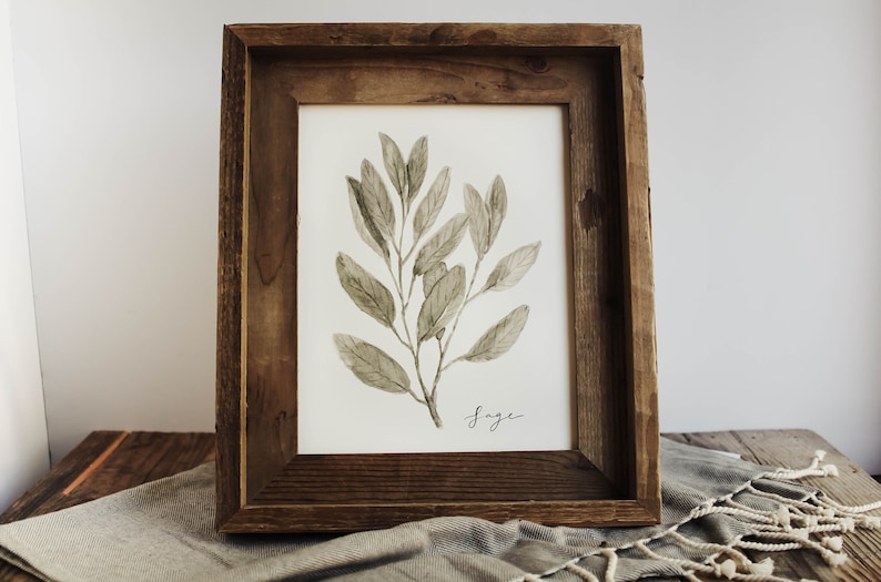 May include: A framed watercolour painting of a sage plant with green leaves on a white background. The frame is made of dark brown wood. The word "Sage" is written in black cursive below the plant.