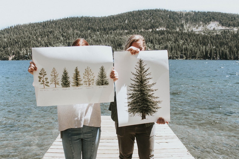 May include: Two people are holding up large prints of trees. The print on the left shows a row of seven different types of trees. The print on the right shows a single large tree.