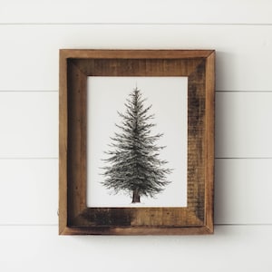 Stampa di pino sempreverde - Stampa di pino, albero acquerello, arredamento minimalista, arredamento per la casa, pino, stampa di pino sempreverde, verde