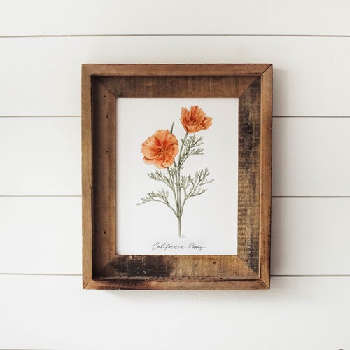 California Poppy Print - Flower Print, Botanical Print, California State Flower, Wall Art, Watercolor Wildflowers, California Wildflowers