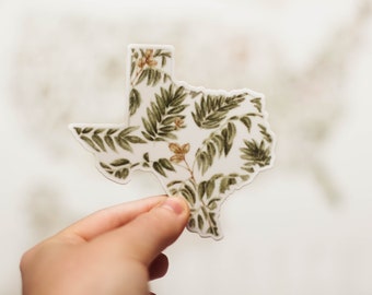 Texas State Tree Sticker - Sticker, Texas, Texas Sticker, Texas Art Sticker, Texas Art, Vinyl Sticker, Tree, Sticker, US Sticker