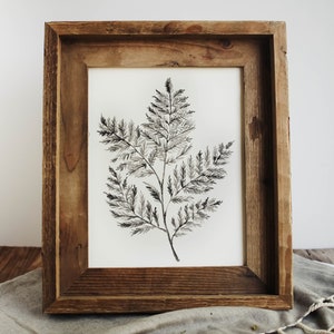 Fern No. 2 Print - Watercolor Fern Print, Fern Print, Home Decor, Watercolor Print, Modern Farmhouse Decor, Kitchen Decor, Bathroom Decor