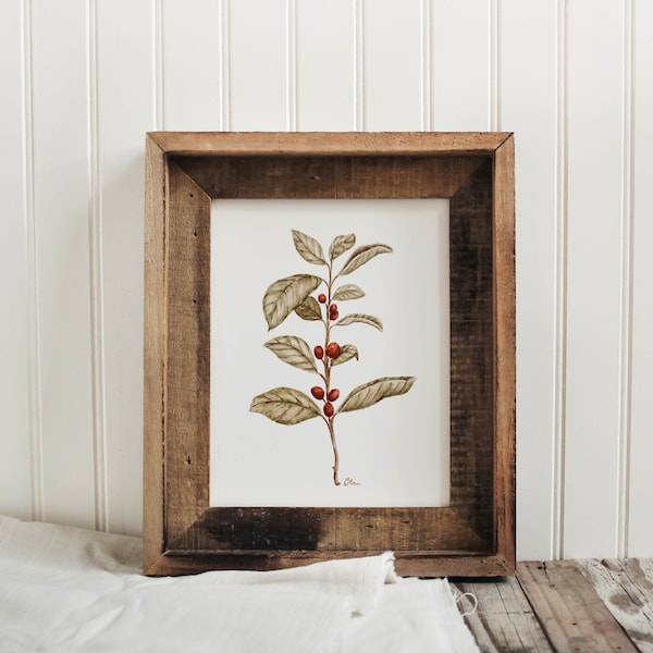 Coffee Plant Print - Coffee Plant, Watercolor Print, Watercolor Plant, Coffee Art, Kitchen Decor, Home Decor
