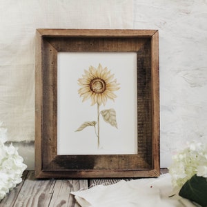 Sunflower Print  - Watercolor Flower Print, Watercolor Sunflower, Spring Art, Farmhouse Decor, House Decor, Flower Print