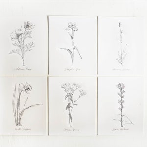 California Wildflowers Sketch Print - California Poppy, Wildflower Art, Wall Art, Flower Art, Wildflowers, Home Decor