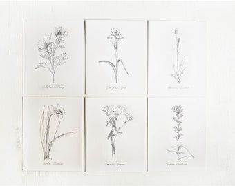 California Wildflowers Sketch Print - California Poppy, Wildflower Art, Wall Art, Flower Art, Wildflowers, Home Decor