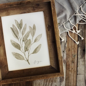 May include: A framed print of a watercolour illustration of a sage plant with the word "Sage" written in cursive below the plant.